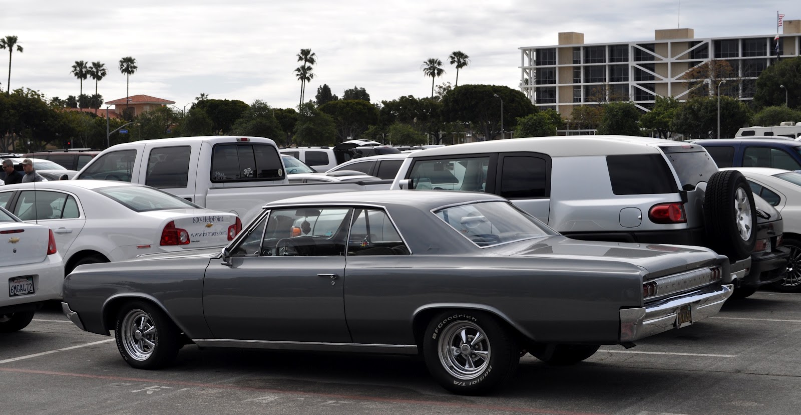 Chevelle Gasser