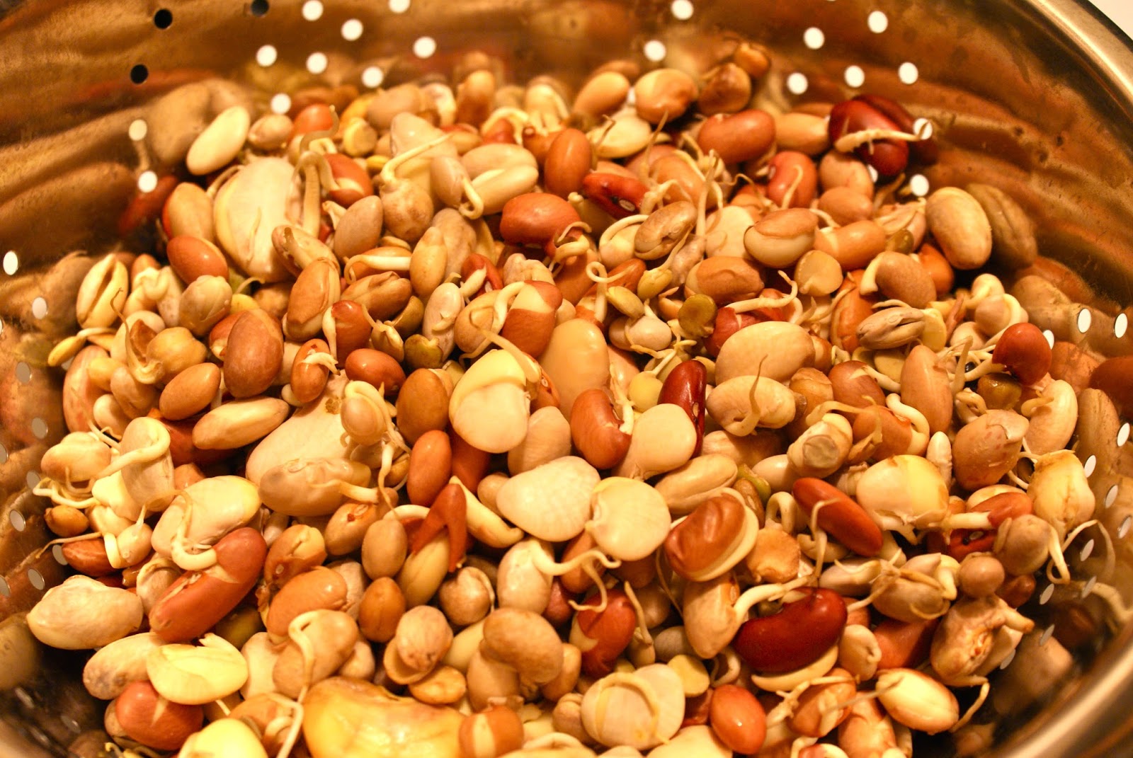 Nepali Tummy!! Kwati (Nepali Beans/Himalayan Soup)!!