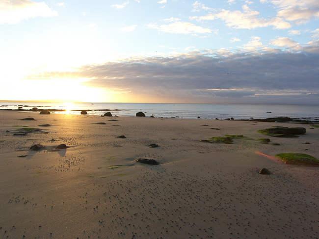 Holiday Cottage Fife Scotland Why Rent Our Holiday Cottage In