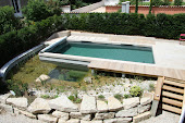 Piscine naturelle BioNova