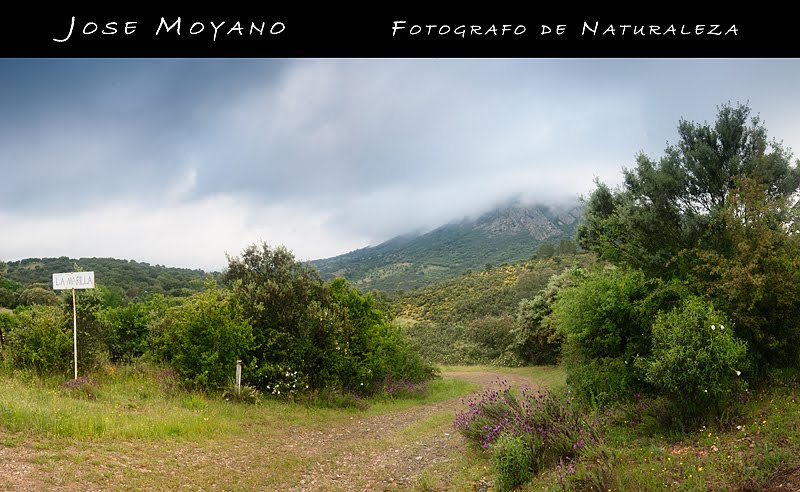 Fotografo de naturaleza