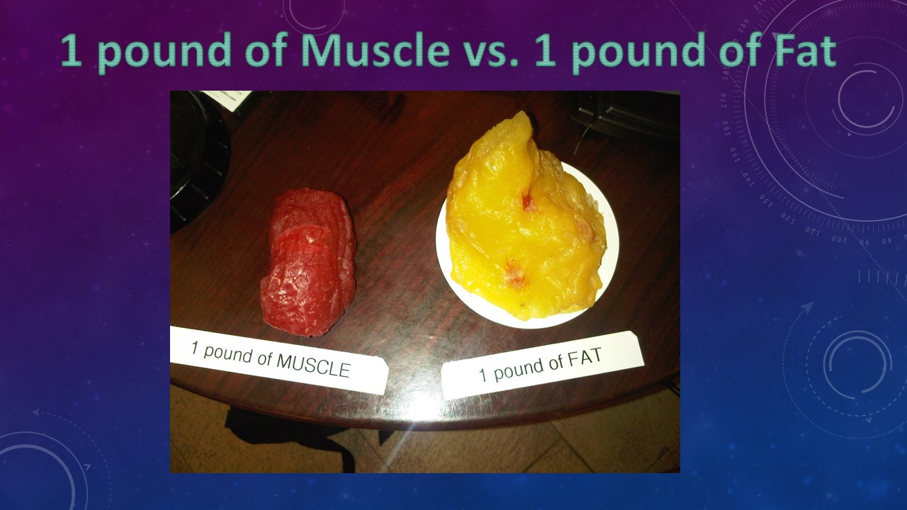 1 Pound of Muscle vs 1 Pound of Fat