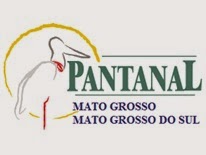 No Pantanal, Mato Grosso/Mato Grosso do Sul, Brasil