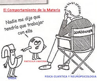 El cuanto se comporta como una partícula cuando interacciona con la materia para transferir una cantidad fija de energía. (el cuanto es la menor cantidad de energía que puede ser emitida, propagada o recibida)