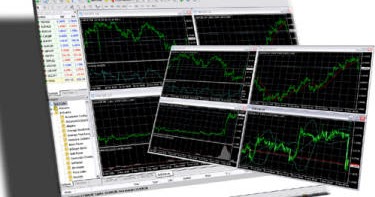 Thai forex trader