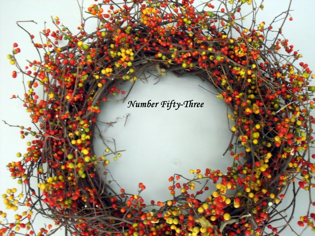 Number FiftyThree Super Easy, DIY, Bittersweet Wreath