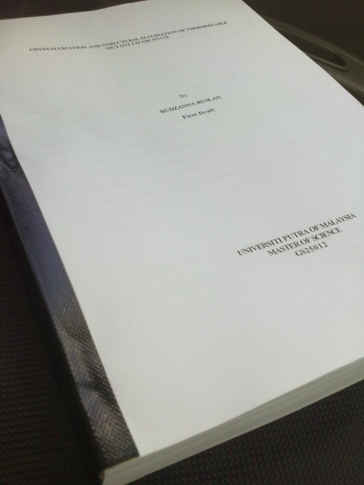 Dissertation first draft