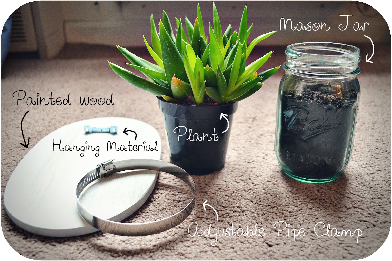 Simply Albany Mason Jar Wall Plant