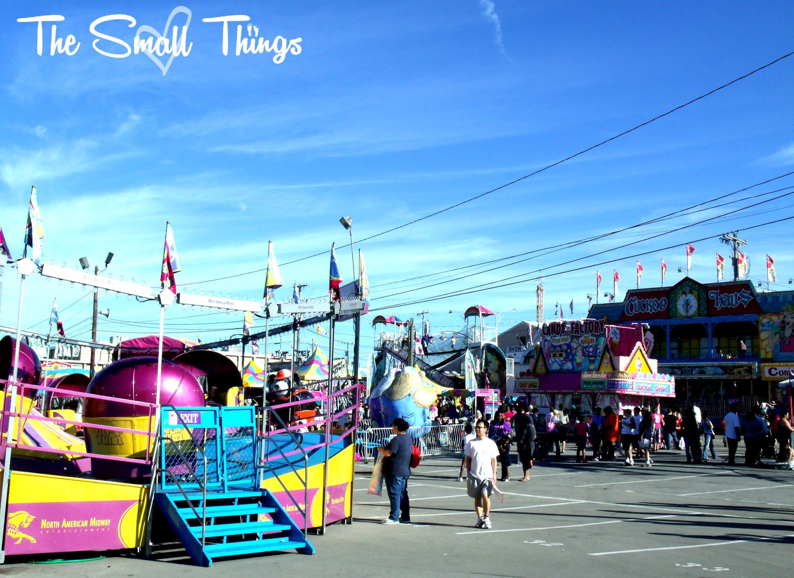 Our day at the Tennessee State Fair!