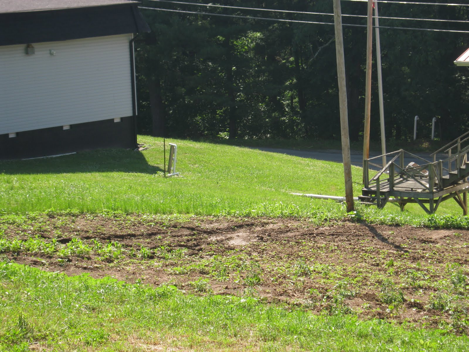 Henderson Settlement, Frakes Ky Jackie Waldroop Grow Appalachia