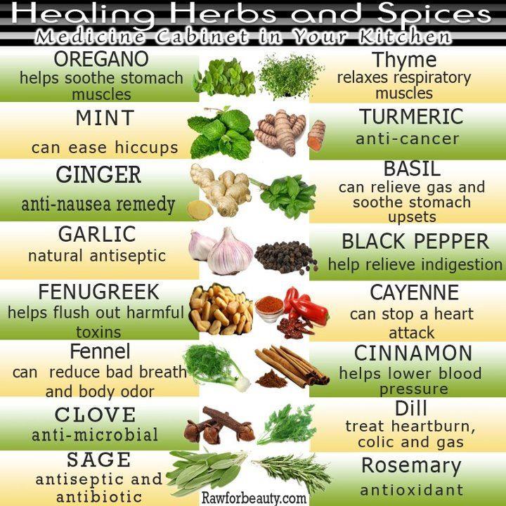 Complete Hair Care Herbs and Foods for Natural Hair Care