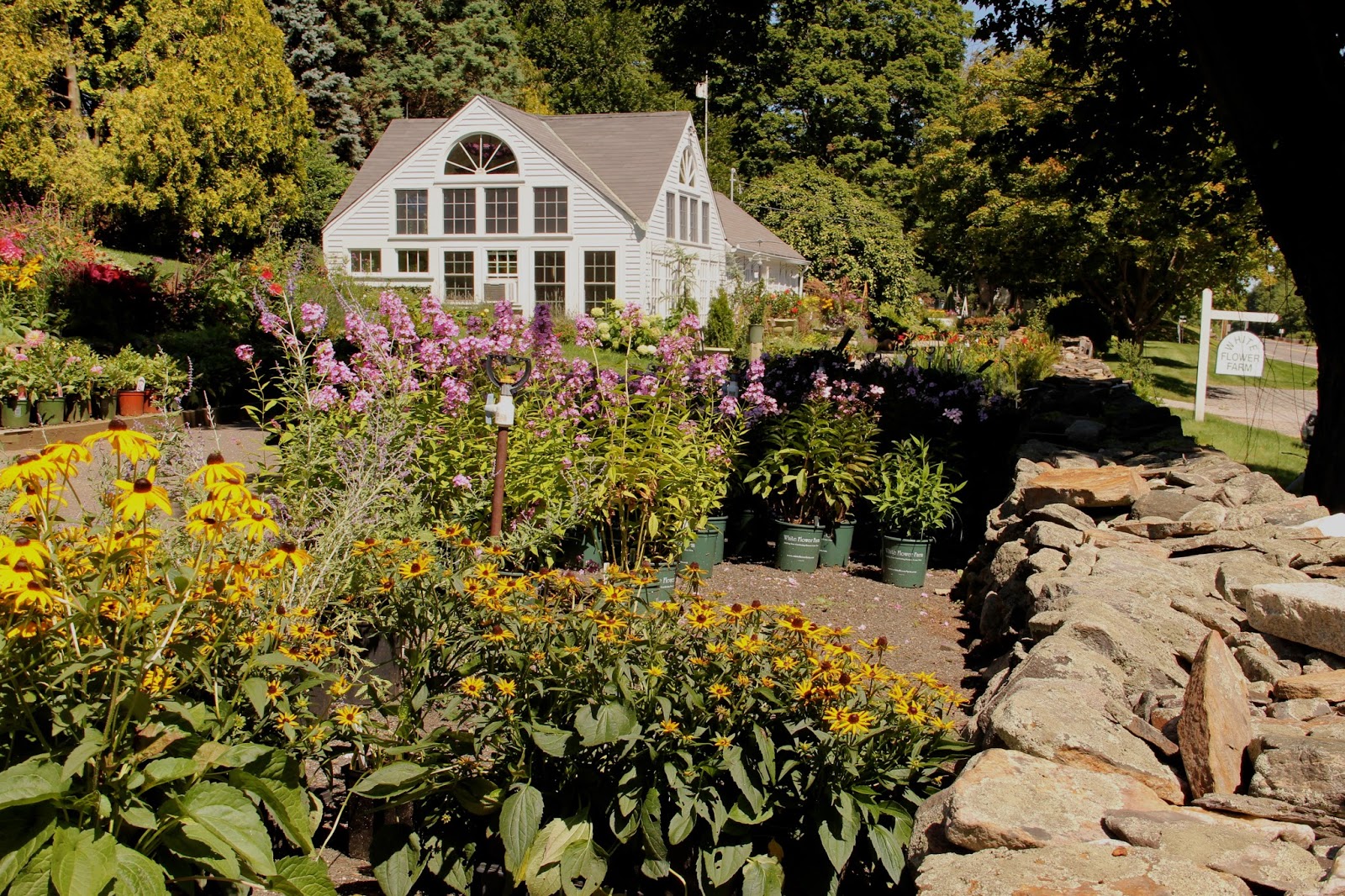 Naples and Hartford in Season White Flower Farm