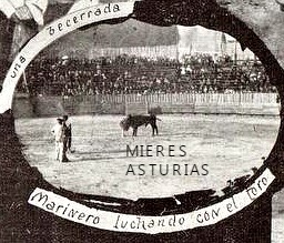 MIERES TOROS