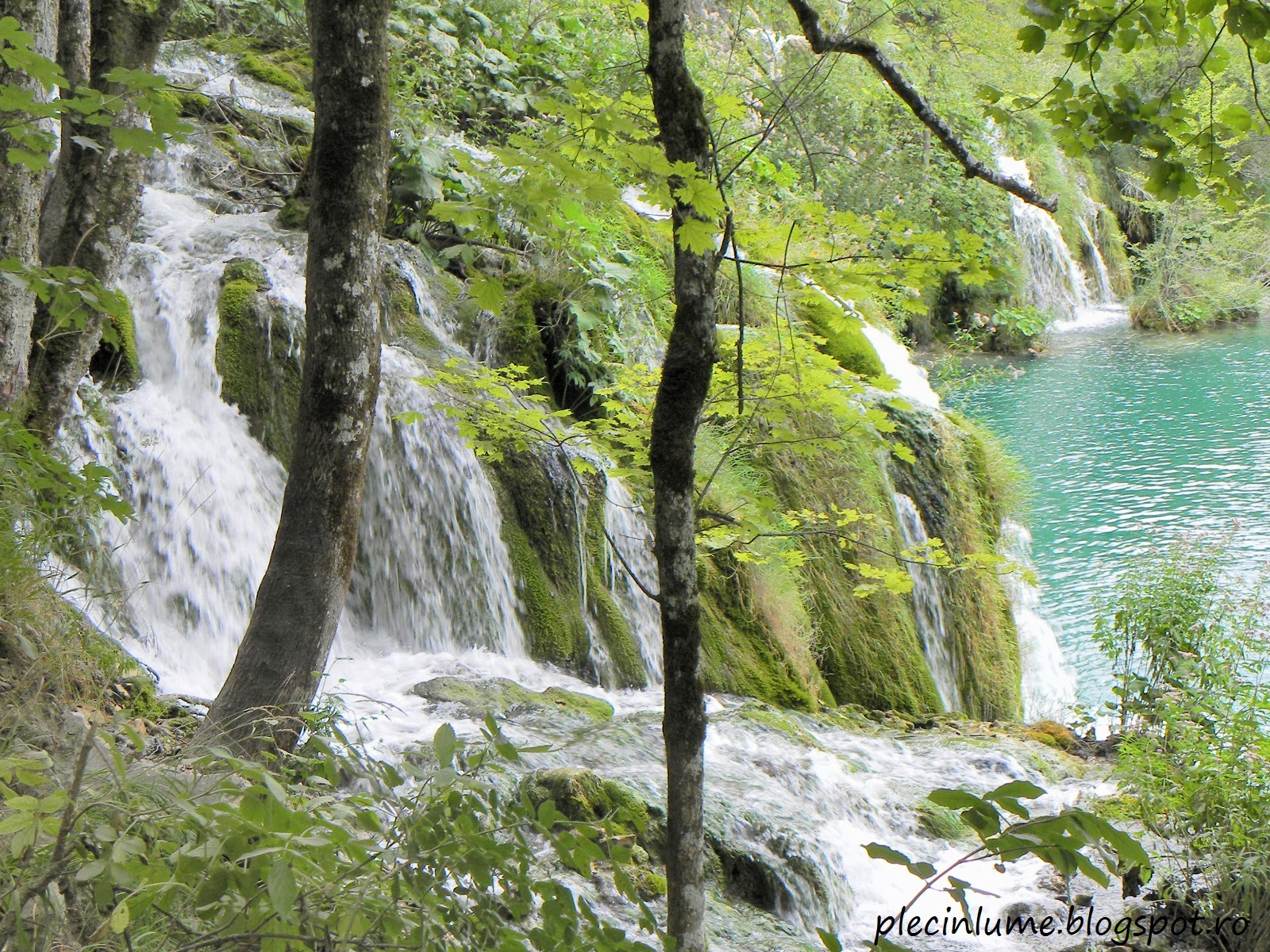 Cascade mai inalte la Plitvice Cascade mai inalte la Plitvice
