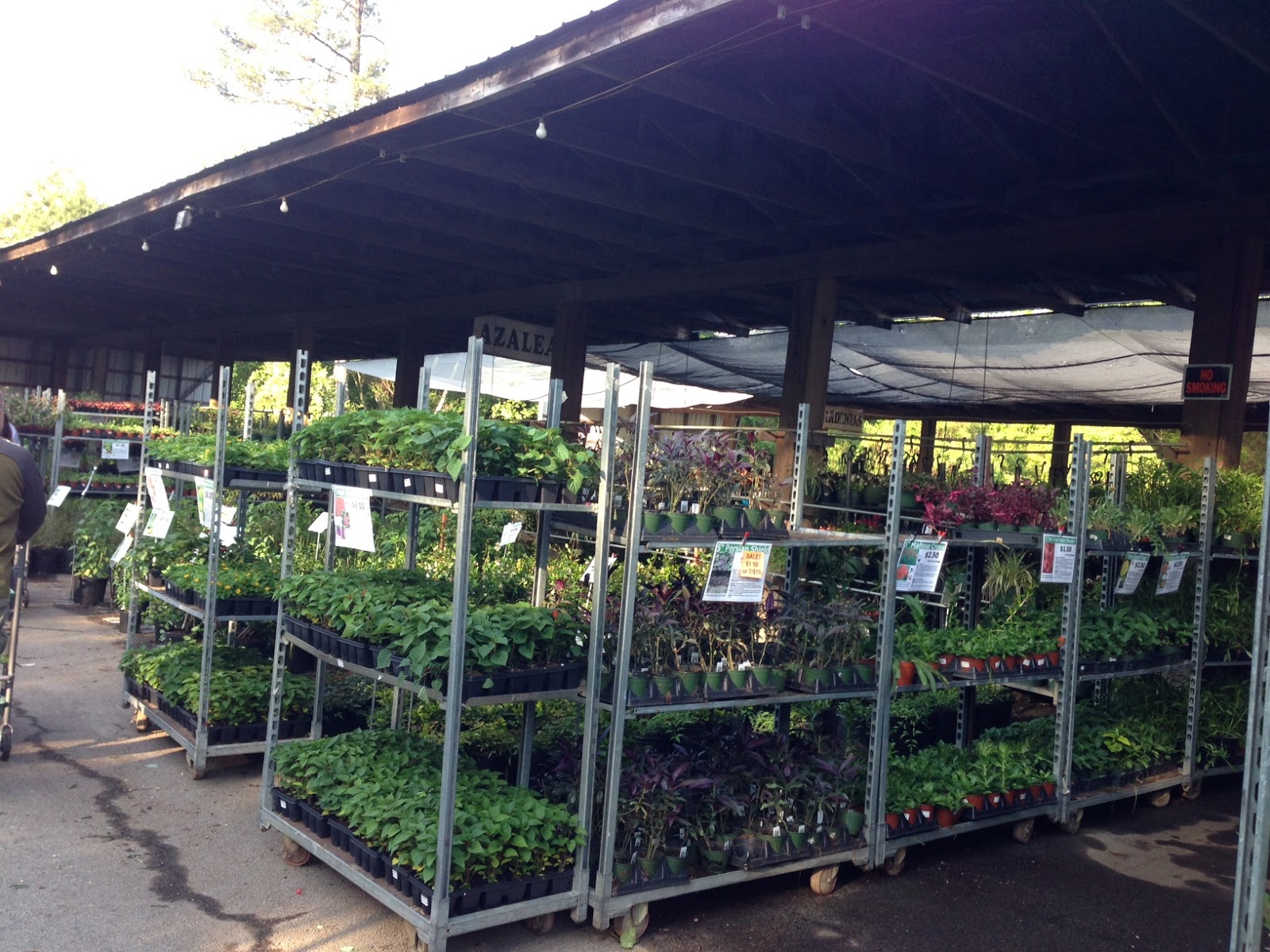 David + Jen = Max Spring Planting Weekend!