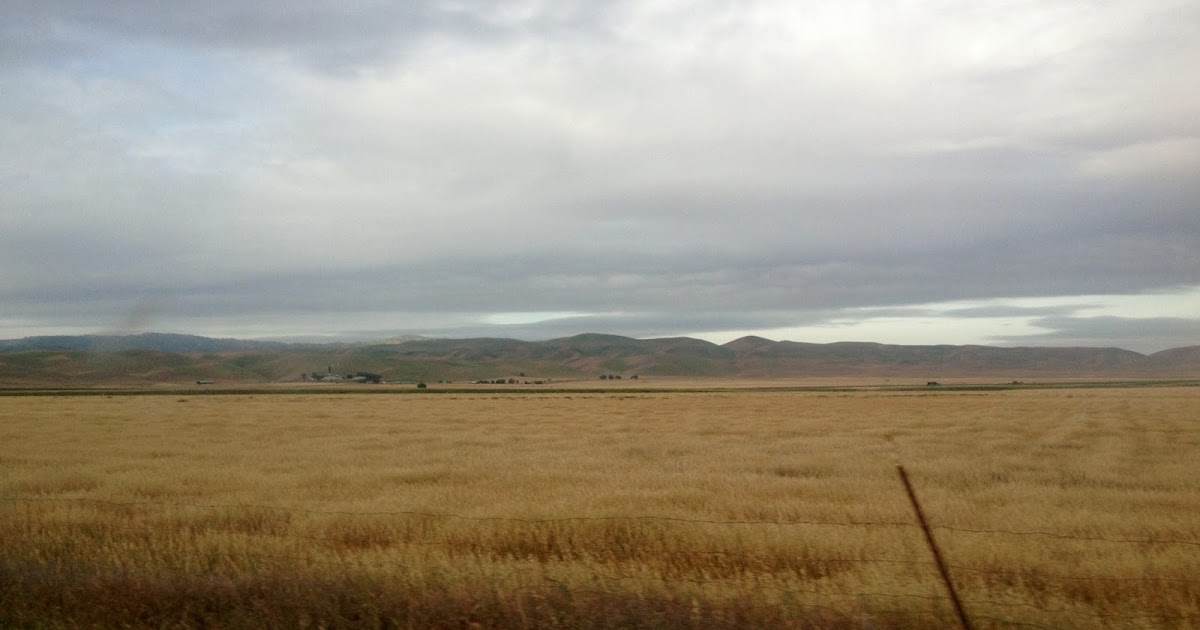 Mom Taxi Julie Enormous Bike Ride Patterson Pass Road and The Altamont Hills