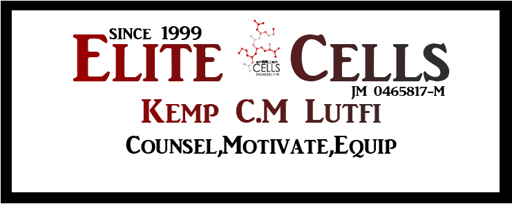Kemp C.M. Lutfi