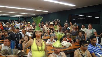 Mobilização  Indígena - ATL 2013