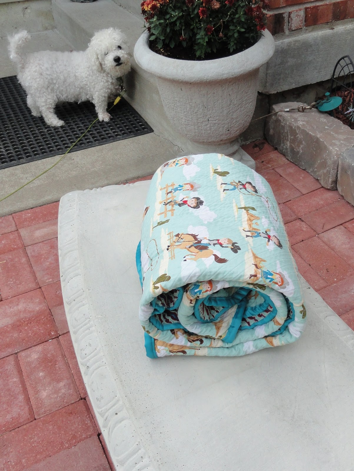 Oxford Impressions Tutorial Faux Chenille Baby Blanket With Riley