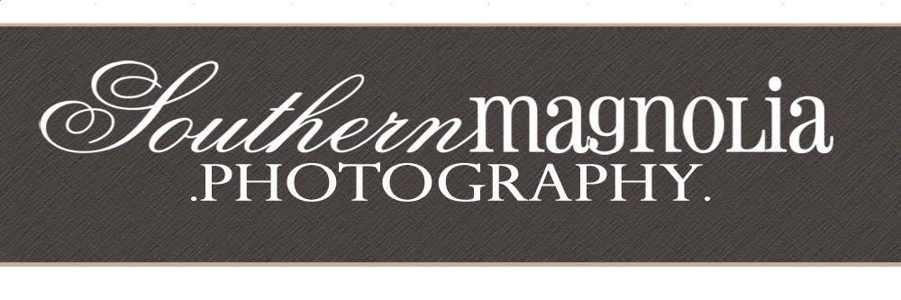 Southern Magnolia Photography