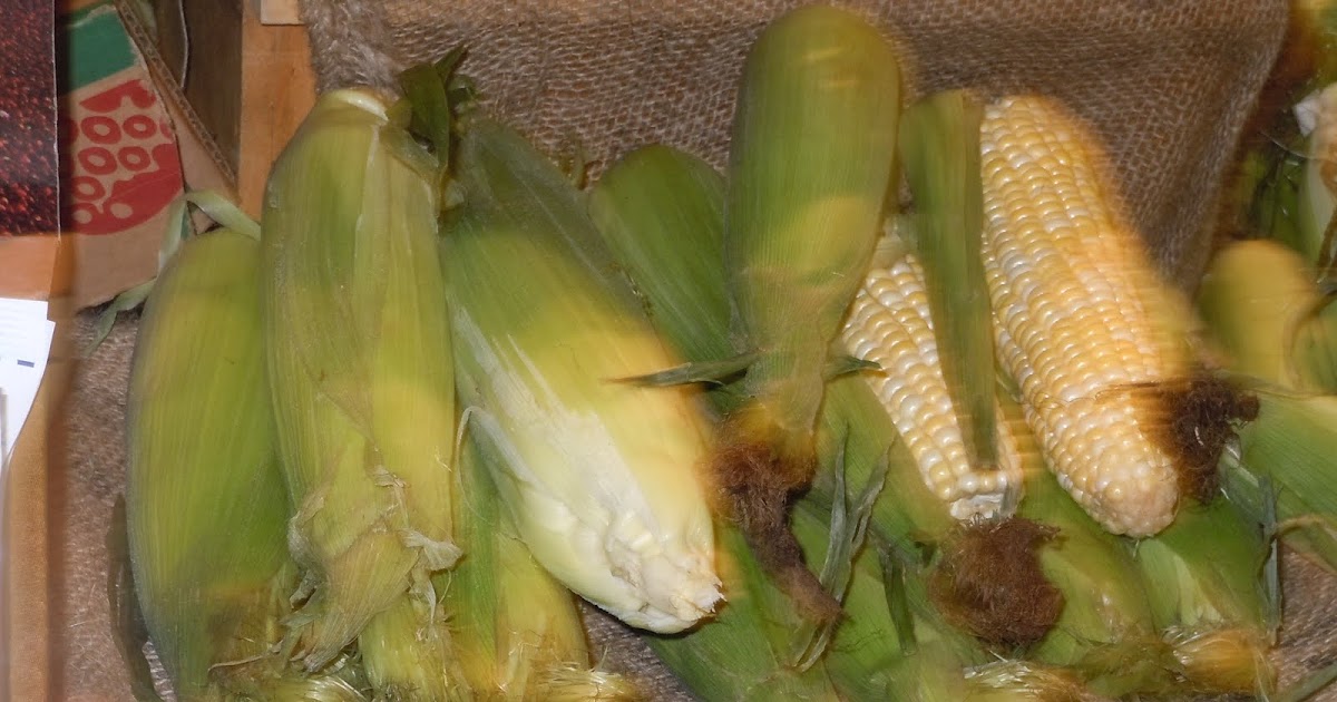 WHS AP Biology 2011 Different Types of Carbohydrates