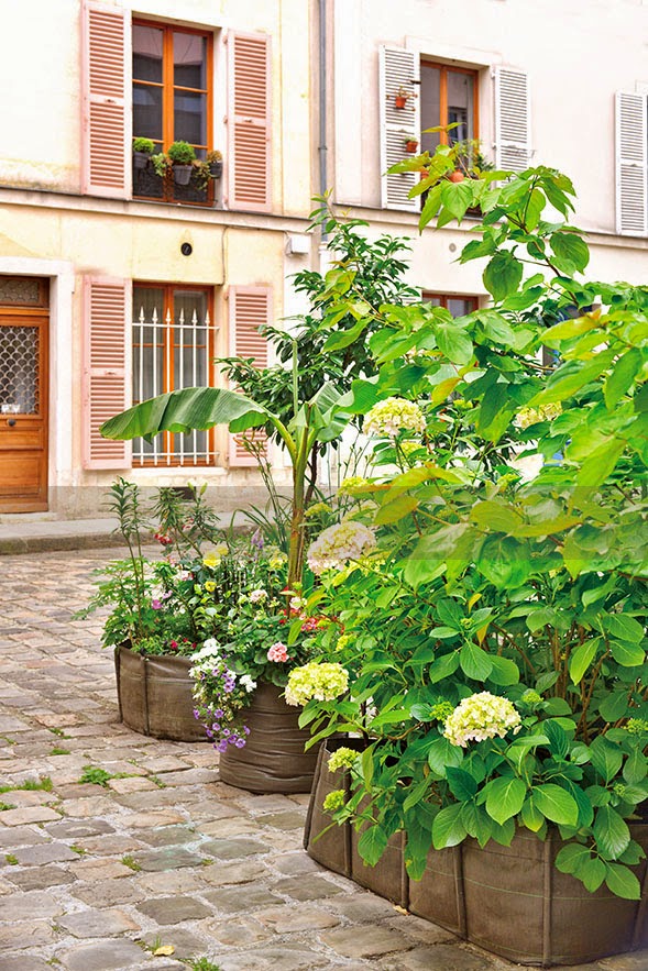 510 Meilleures Images Du Tableau Jardin En Pot Pot Jardin