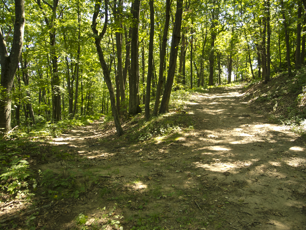 Connecticut Explorer Hiking East Rock Park