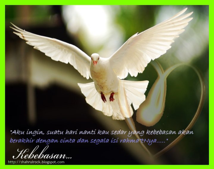 Aku Dan Sesuatu Jinak Jinak Merpati 2