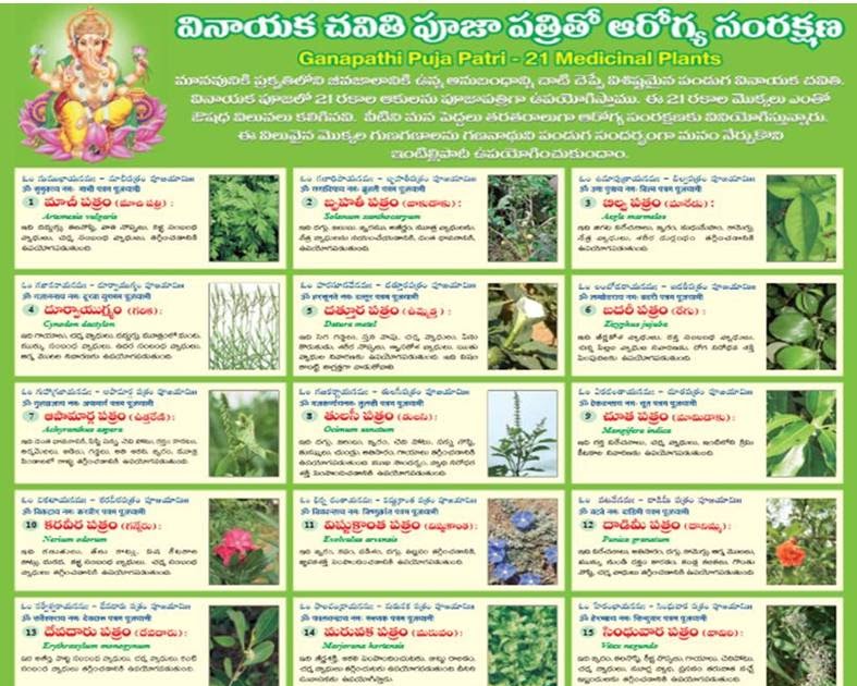 ravikiran ganesh pooja pathri 21Prescribed Vinyaka chavithi Pooja