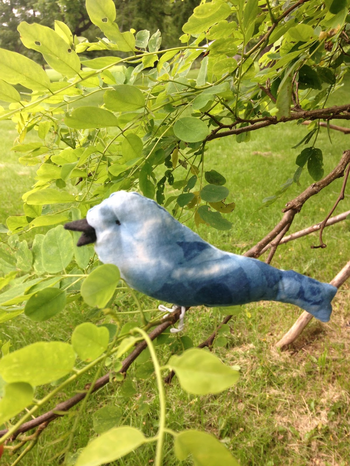 maya*made birds, trees and toast