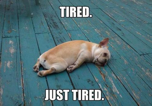 My Bed Is My Only Comfort Now