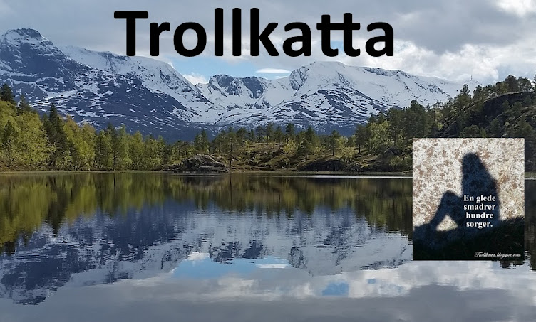 Trollkatta