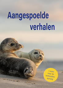 Aangespoelde verhalen