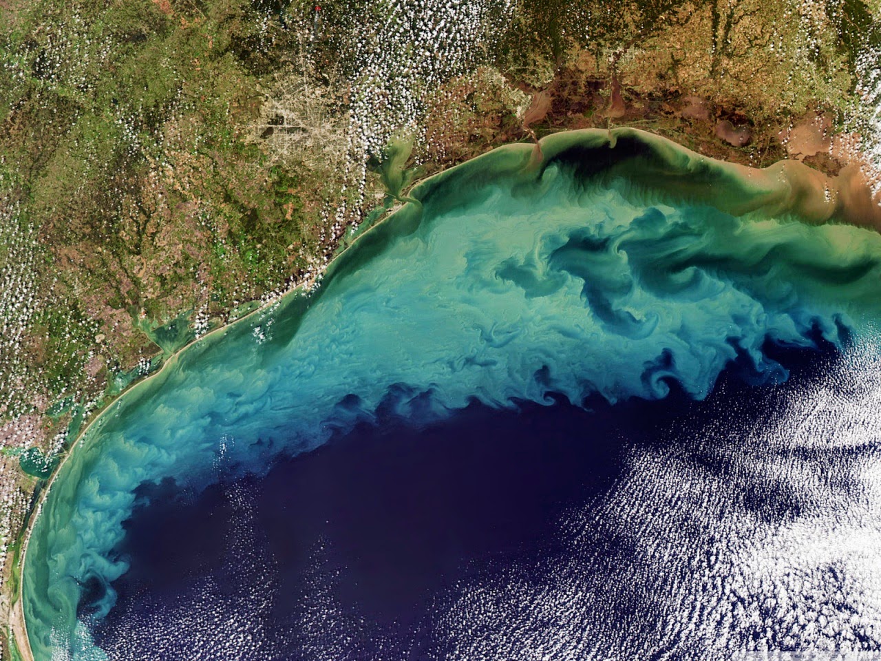 Altova MissionKit 2018 Enterprise Edition Altova Online