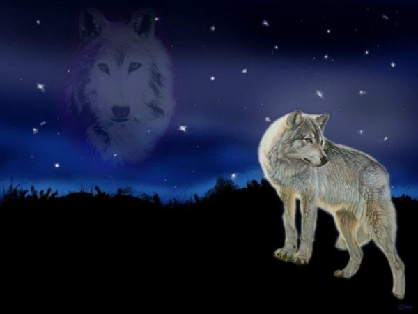 resimler manzaralar guzel resimler fotograflar doga resimleri bozkurt resimleri