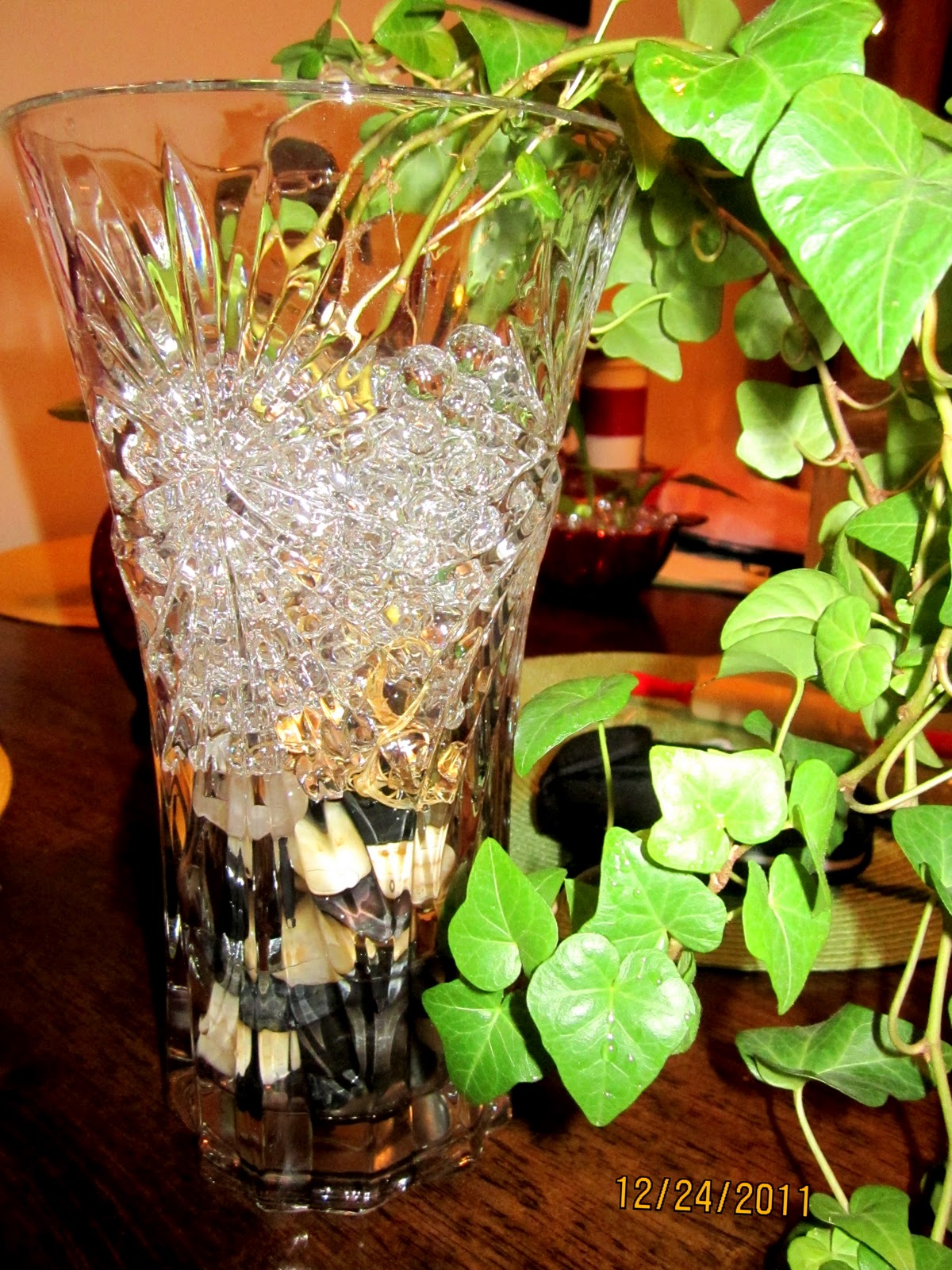 Homemade and Colorful Growing House Plants in Water or HYDRO BEADS