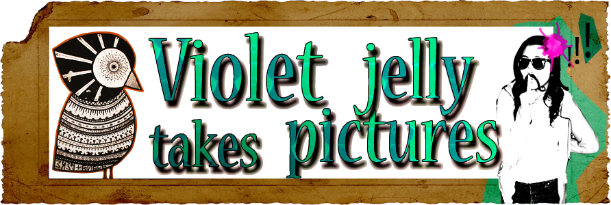 Viölet Jelly Takes Pictures