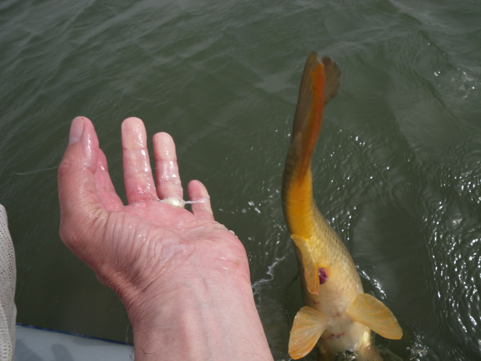 Got Backing? (Formerly Known as Mr. P.'s Blog) Getting Lucky and 69ing