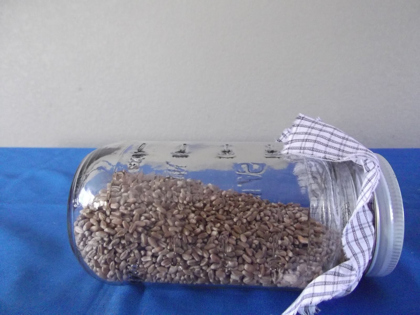 The Resourceful Life How to make malt vinegar from wheat.