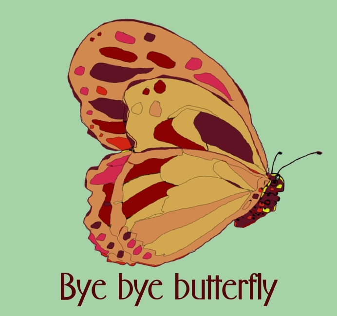 DEEP COVE FLOWERS December 2011