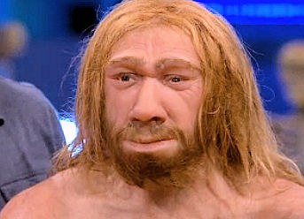 Image result for Neanderthal Man (La Ferrassie 1)