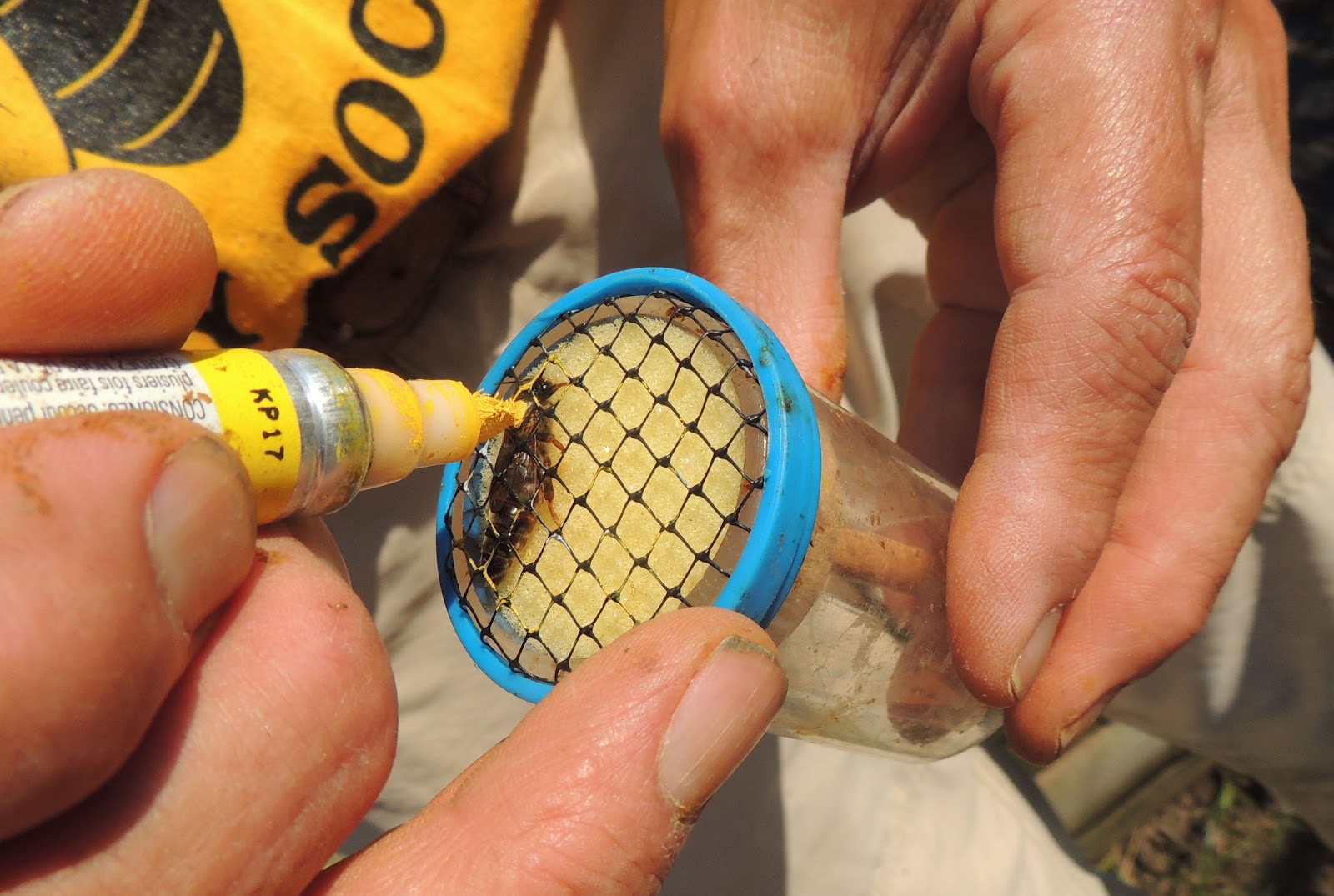 Foulkeways and Beyond A Visit by the Bee Man