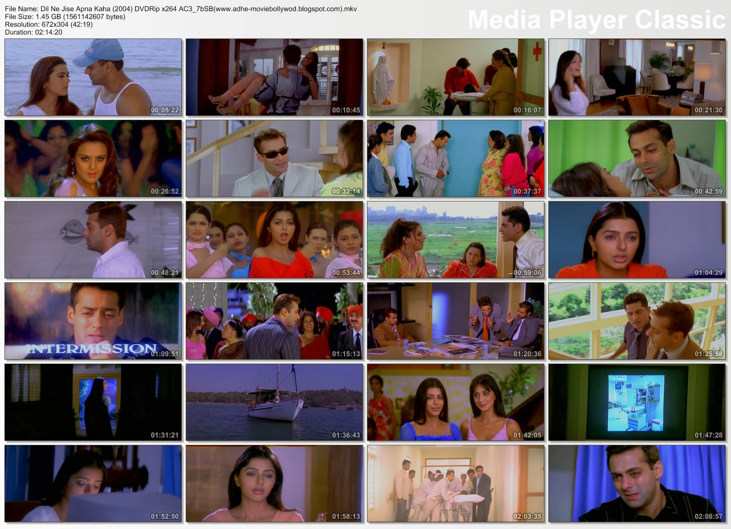 Dil Ne Jise Apna Kahaa Movie English Subtitle Download Free