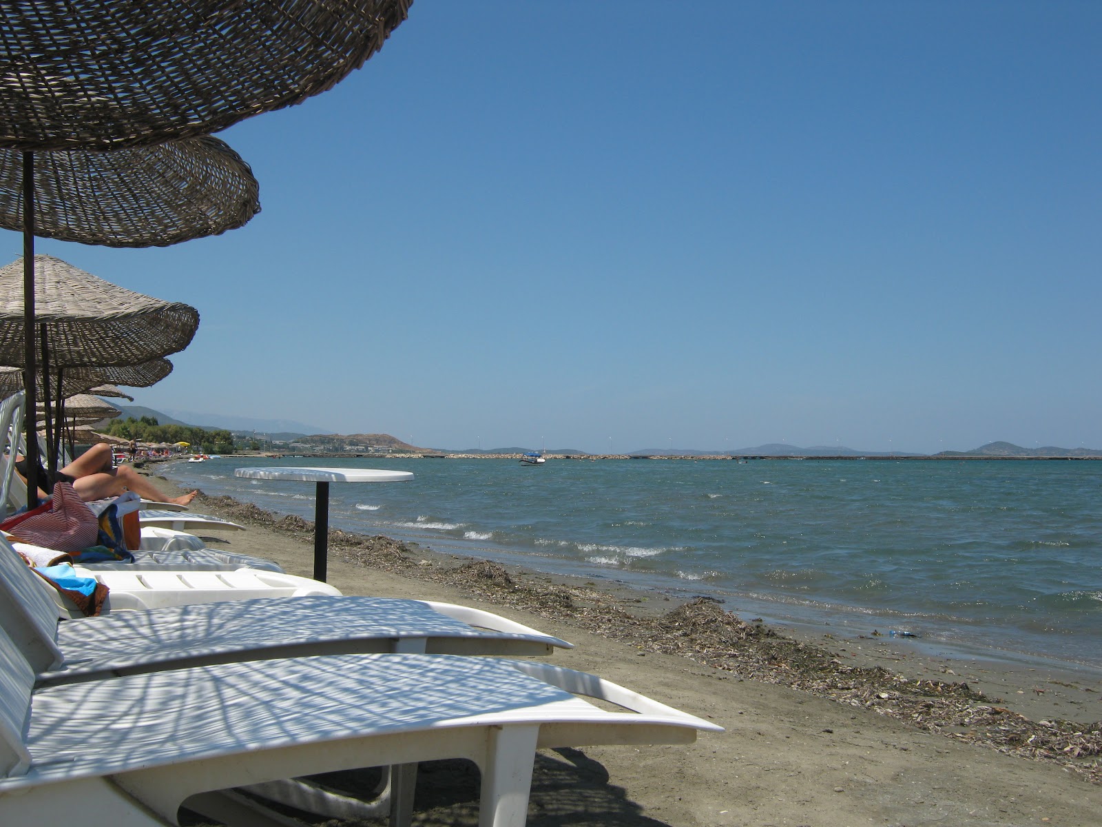 DOMİNO TŞLRI UrlaÇeşmealtı