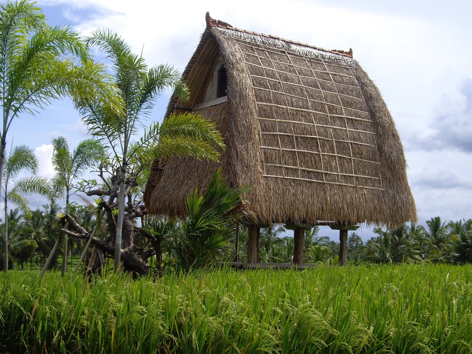 LUMBUNG--TRADITIONAL BALINESE RICE STORAGE GRANARY TO STORE THE RICE CROPS