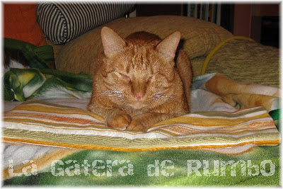 Elmo y su saquito