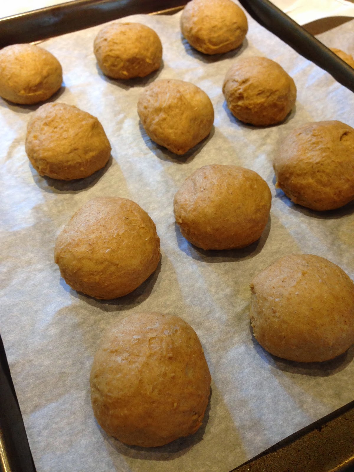 The Audacious Cook Oatmeal Buns