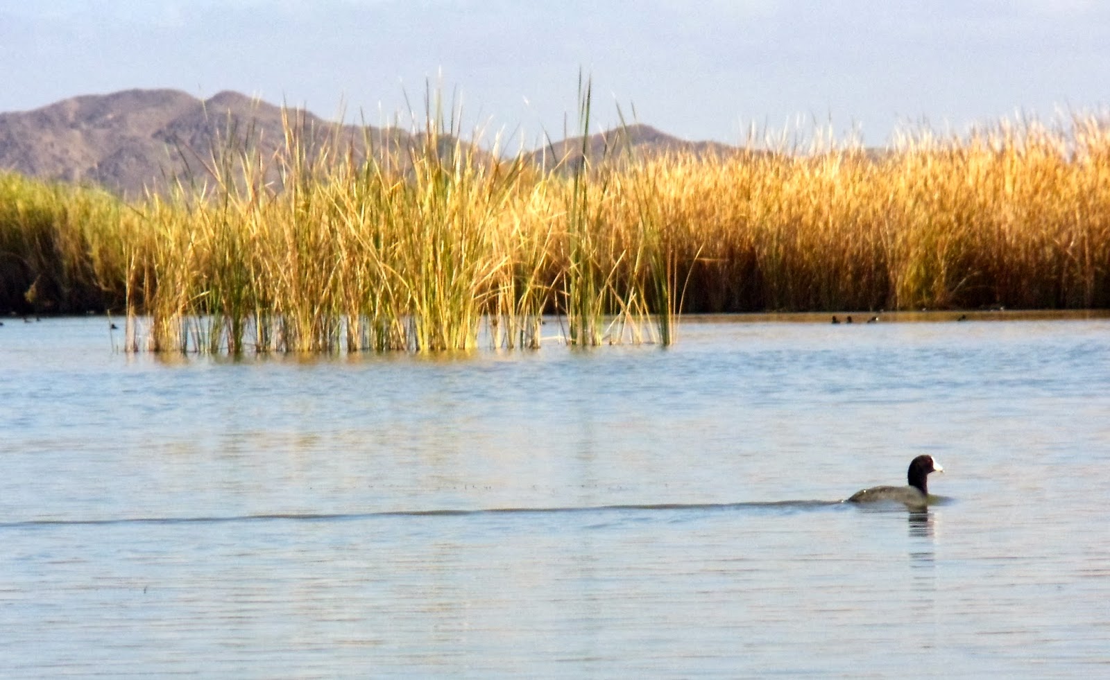 Jim and Bev Desert Kayaking Mittry Lake in Yuma, AZ