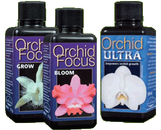 Orchid Care Help And Tips Orchid Focus Bloom Grow And Ultra Information