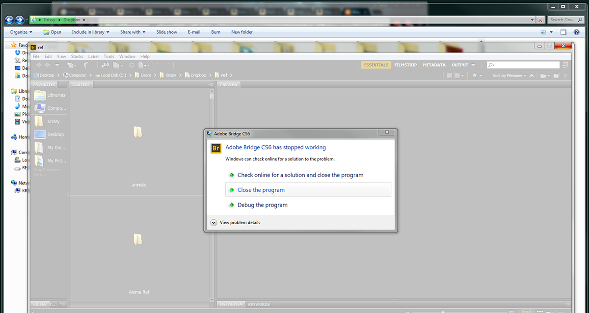 Adobe Extractor Has Stopped Working